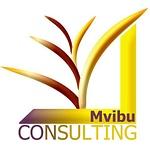 Mvibu Consulting