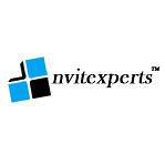 Nv it experts logo