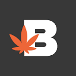 Budvue logo
