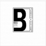 BRIKS Design-Build Group logo