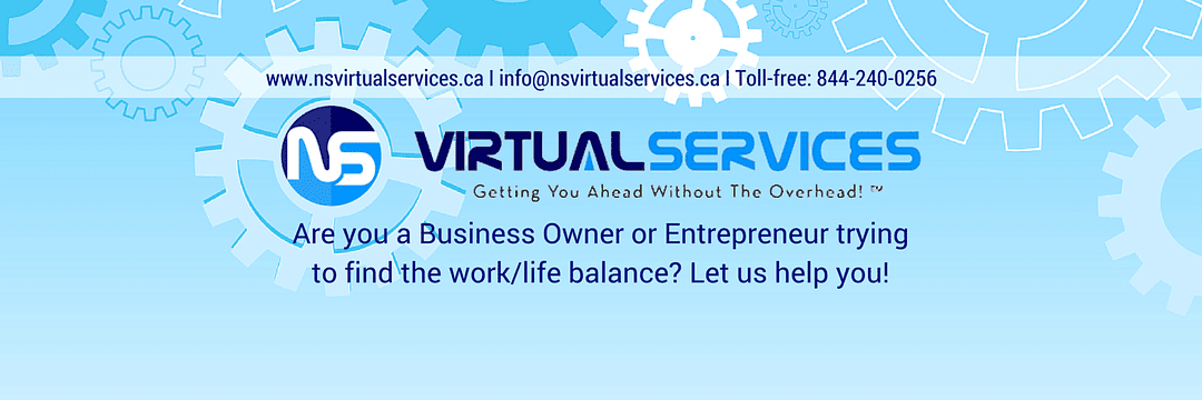 NS Virtual Services cover
