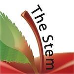 The Stem Group Inc. logo