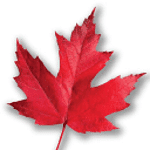 Maple Leaf Strategies logo