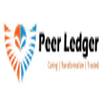Peer Ledger logo