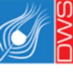 DW Solutions Inc. logo