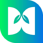 WebMint Inc - Digital Marketing & Web Development logo
