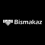 Biz Makaz Business Consultant logo