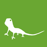 Visual Lizard logo