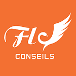 FLY Conseils logo