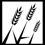 New Harvest Media Inc.
