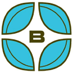 Bayleaf Software Inc. logo
