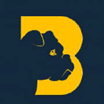 Bulldog Marketing Agency logo