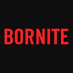 Bornite logo