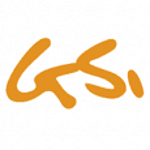 GSI Solutions logo
