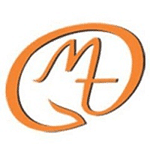 Digital Module Technologies logo